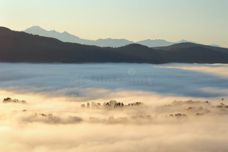 Morgondimma, Fraser dal, British Columbia fotografering för bildbyråer Morgondimma, Fraser dal, British Columbia fotografering för bildbyråer