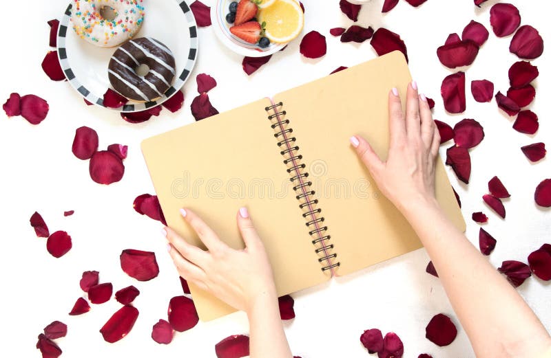 Morgonkopp kaffe, tomma anteckningsbok- och rosblommor, frukter och donuts på den vita tabellen från över Hemtrevlig frukost arkivfoton Morgonkopp kaffe, tomma anteckningsbok- och rosblommor, frukter och donuts på den vita tabellen från över Hemtrevlig frukost arkivfoton