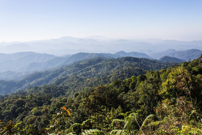 Morgonsikt från berget, Pha Daeng nationalpark i Chiangmai