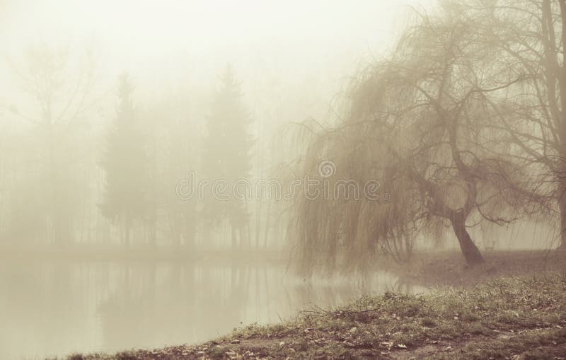 Moring brumeux dans l'endroit paisible photographie stock Moring brumeux dans l'endroit paisible photographie stock