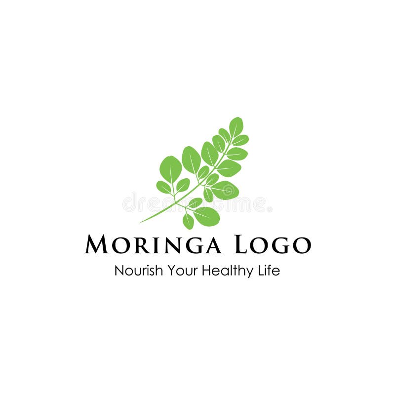 Moringa logo design inspiration - Natural health logo inspiration - Superfood logo vector illustration Moringa logo design inspiration - Natural health logo inspiration - Superfood logo vector illustration