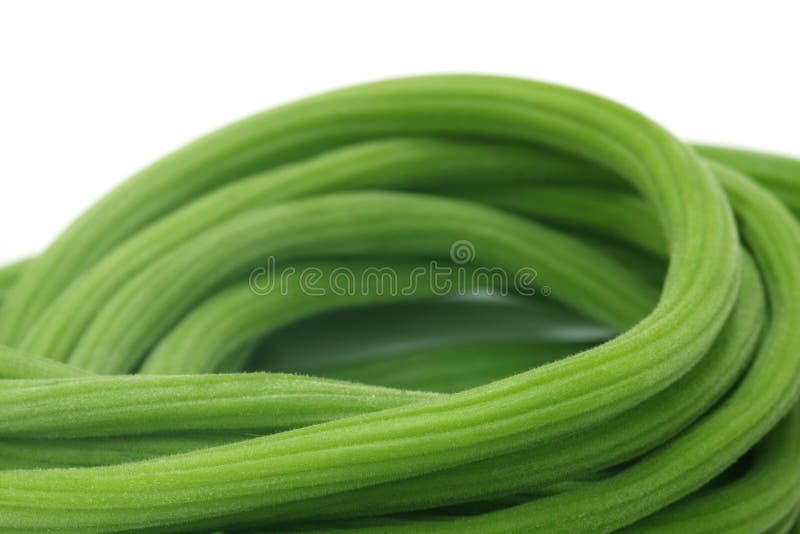 Moringa Oleifera zdjęcie royalty free