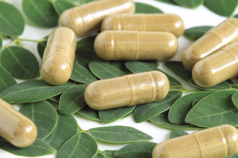 Moringa oleifera kapsuła z zielonymi liśćmi zdjęcie royalty free
