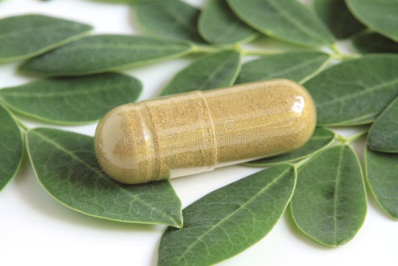 Moringa oleifera kapsuła z zielonymi liśćmi fotografia stock