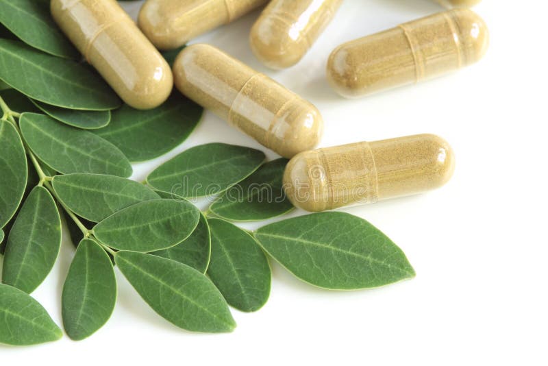 Moringa oleifera kapsuła z zielonymi liśćmi zdjęcia stock