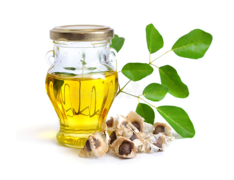 Moringa oleifera olej z ziarnami i leawes Odizolowywający na białych półdupkach obrazy stock