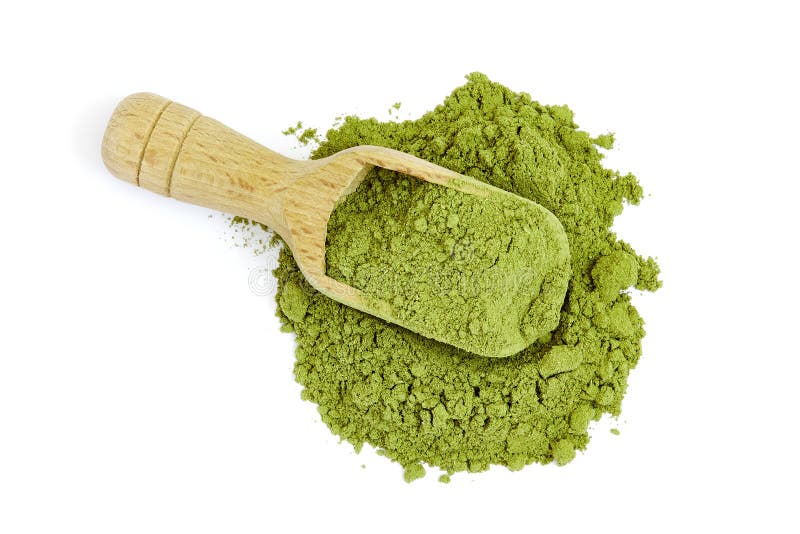 Moringa oleifera proszek fotografia royalty free