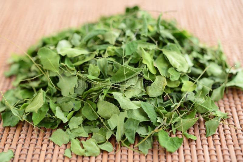 Moringa teblad royaltyfri foto Moringa teblad royaltyfri foto