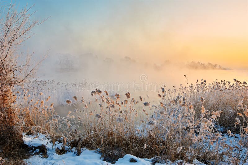 The mornig fog sunrise