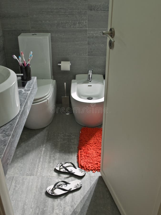 Morning royalty free stock images