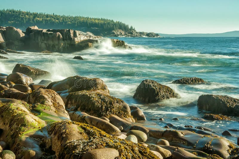 Morning on the Atlantic coast. National Park of Acadia.US. Maine.