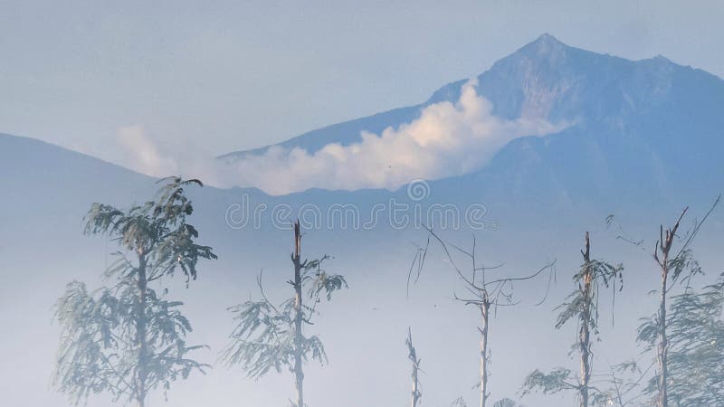 93 Line Drawing Mountain Tree Photos - Free & Royalty-Free Stock Photos