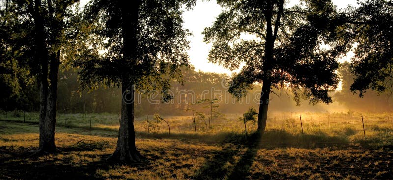 Morning in Dallas stock images