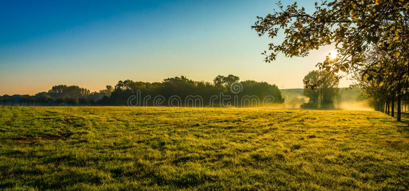 The morning field.