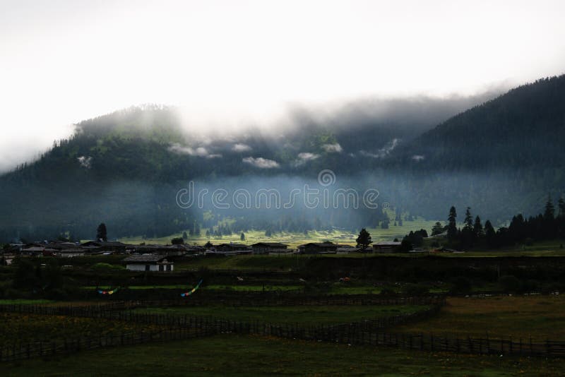 Morning in field, Tibet stock image Morning in field, Tibet stock image