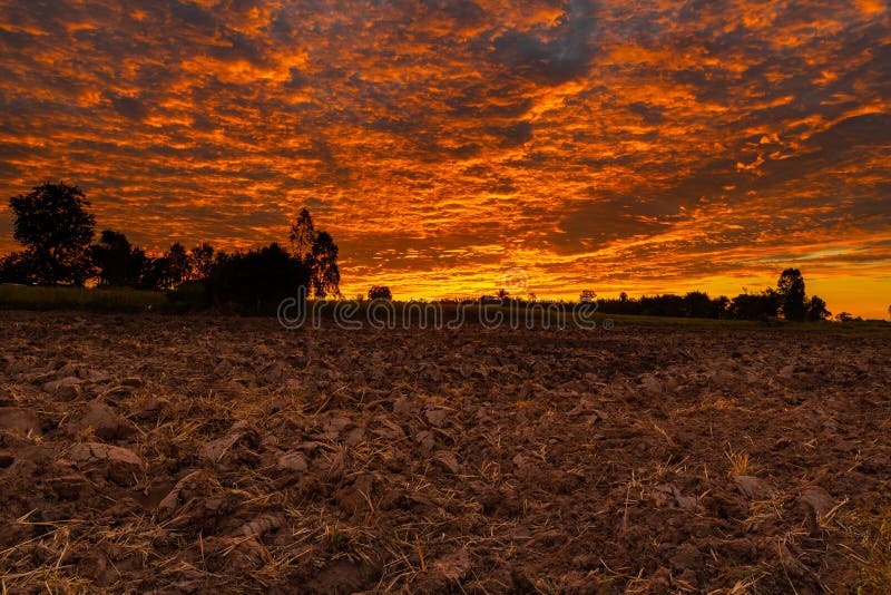 Morning fire sky and scattered clouds with trees and agricultural field as silhouette foreground