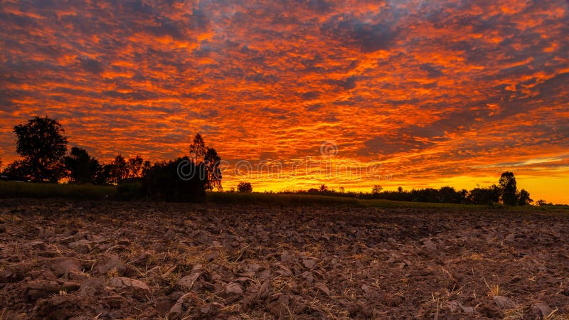 Morning fire sky and scattered clouds with trees and agricultural field as silhouette foreground