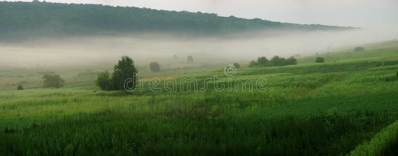 Morning fog