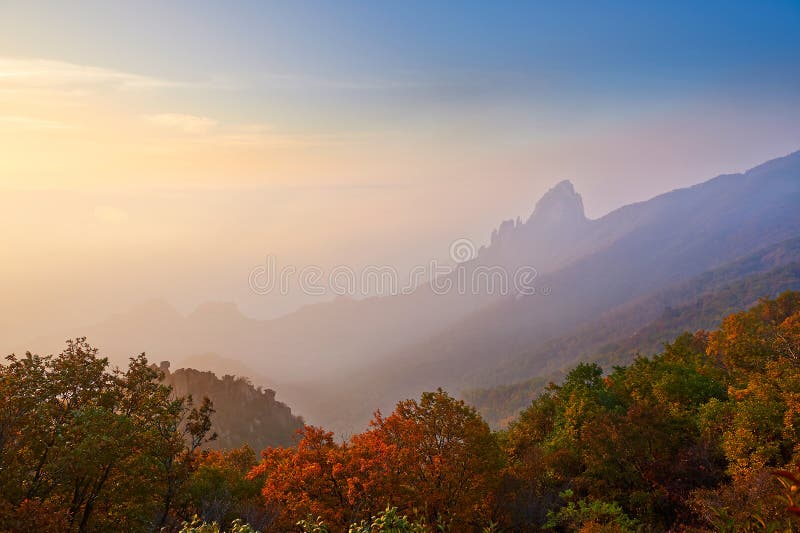 The morning fog and autumn forest of ancestral mountain