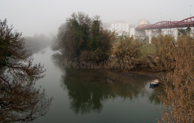 The morning in fog on the river