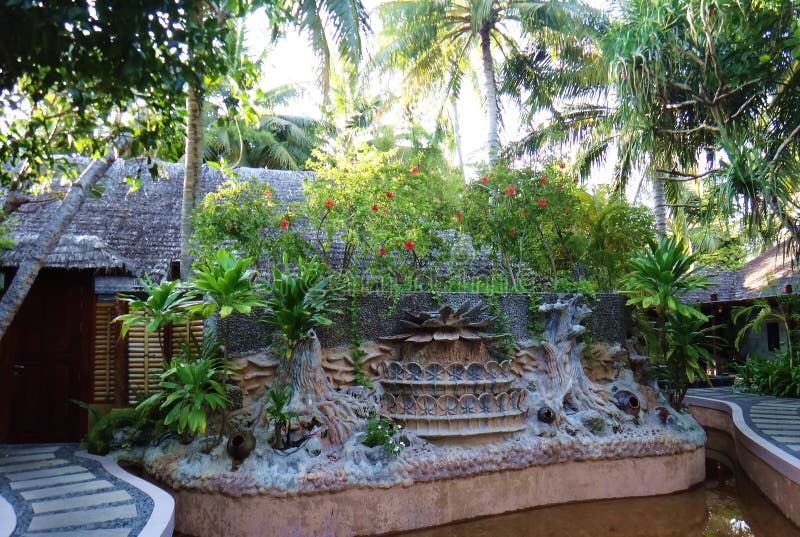 Trees In Garden Maldives Islands Stock Photo Image of garden