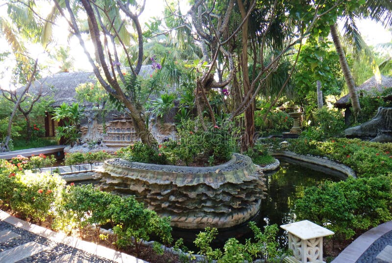 Morning in Garden, Maldives Islands Stock Image Image of vacation