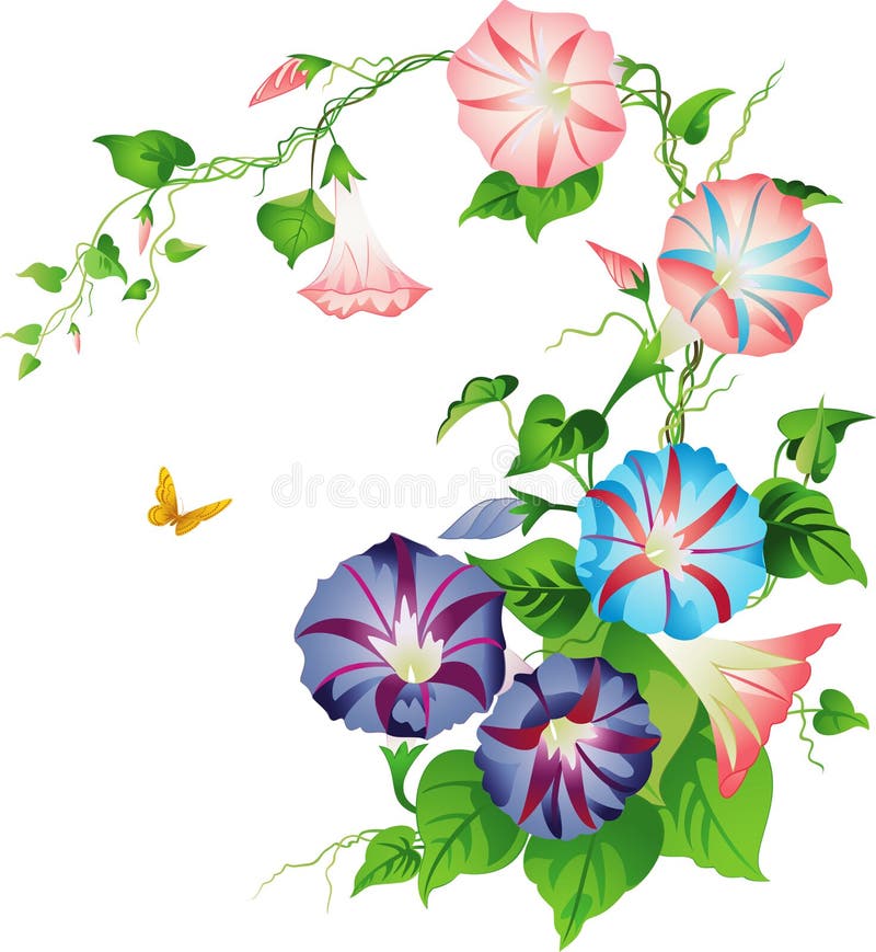 Morning Glory Vine Border, Purple Stock Vector Illustration of flowers, vertical 5798548