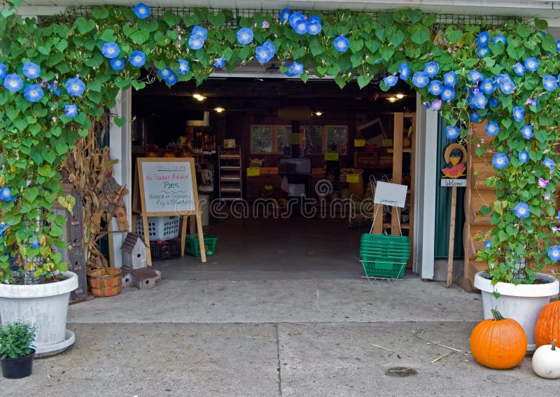 Morning Glory Arch