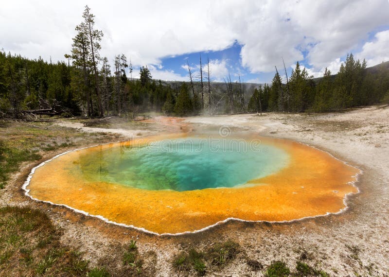 Morning Glory hot spring pool, Yellowstone National Park stock photography Morning Glory hot spring pool, Yellowstone National Park stock photography