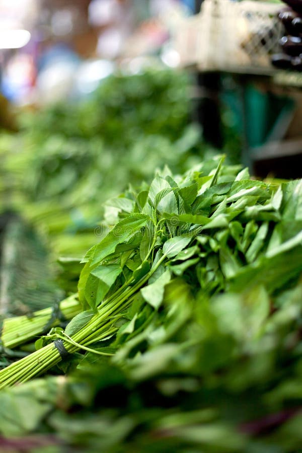 Morning Glory Vegetable on Sale Stock Image Image of green, cooking