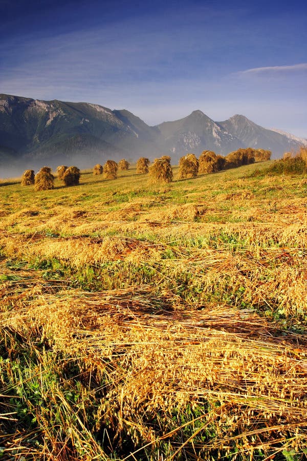 Morning in High Tatras (Vysoke Tatry)