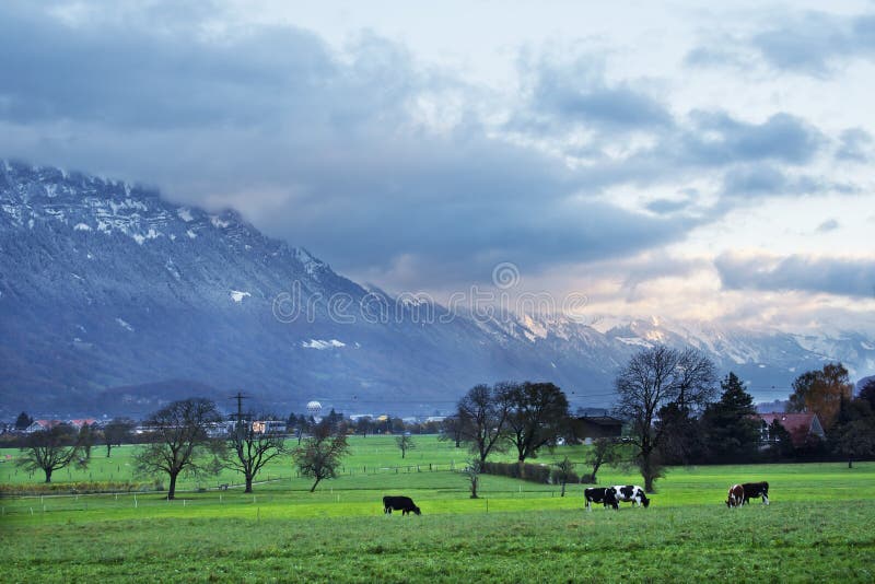 Morning in Interlaken