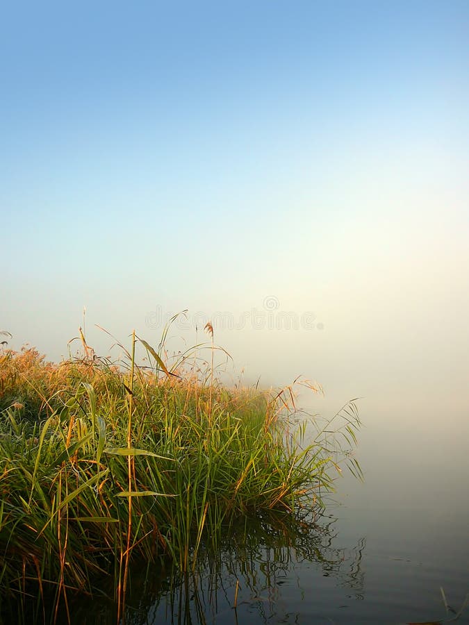 Morning lake and fog