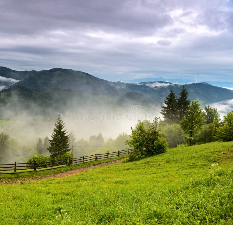 Morning Landscape in the Mountains. Carpathian Stock Photo - Image of ...