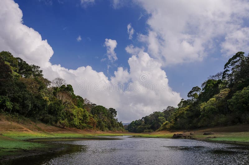 Morning landscape in National park