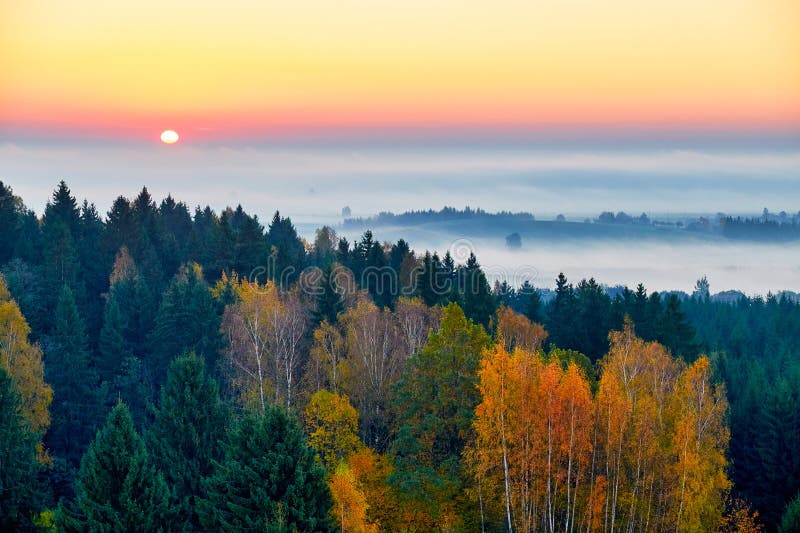 Morning landspace with sun rays. Beautiful landscape with forest and fog.Lithuanian landscape