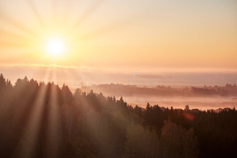 Morning landspace with sun rays. Beautiful landscape with forest and fog.Lithuanian landscape