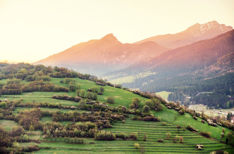 Morning light over country