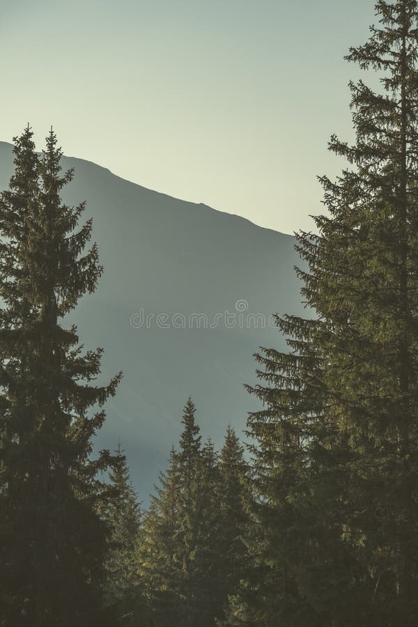 Morning light rising in the mountains Tatra in Slovakia - vintage retro look