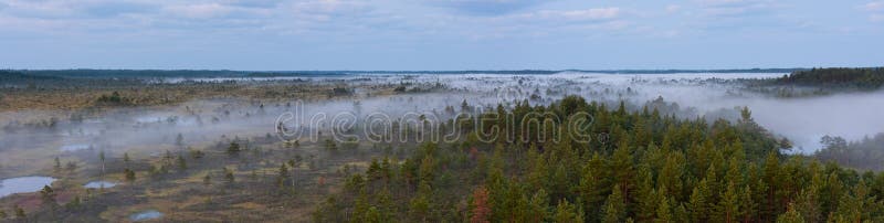 Un ampio panorama foto di una mattina di nebbia in una palude.