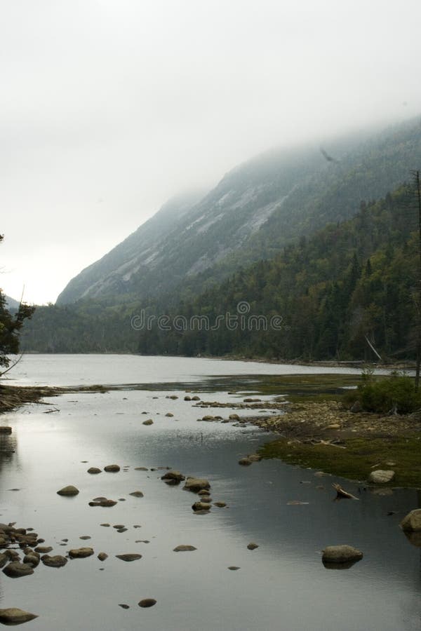 Morning mist on mountain side