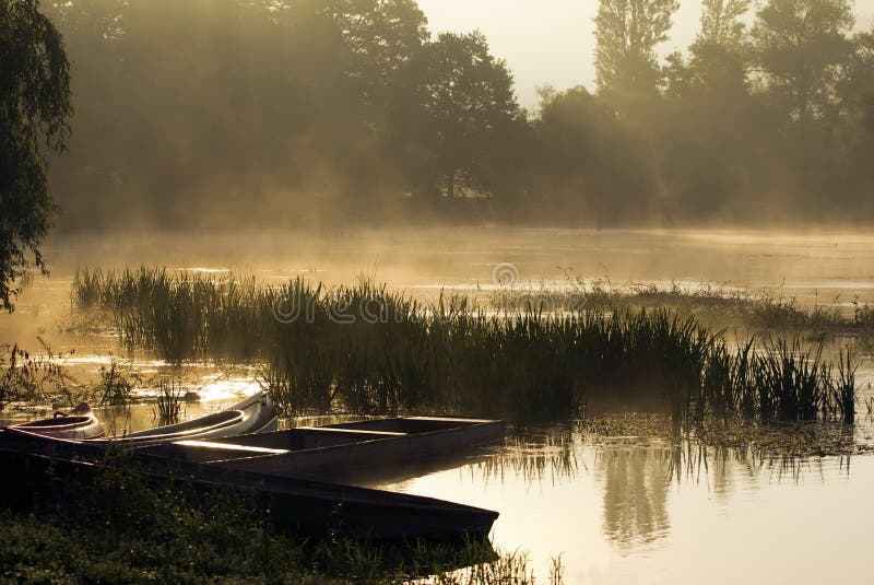 Morning mist