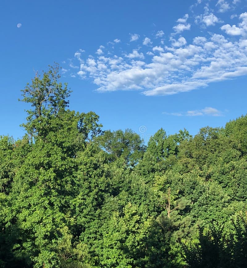 Morning Moon Blue Skies