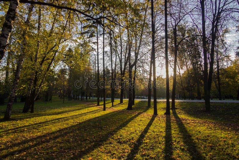 Morning in the Park stock photo. Image of morning, beauty 34185764