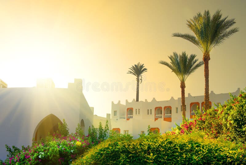 Morning on resort stock image. Image of palm, landscape 60294085