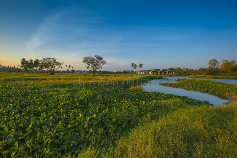 Morning Scene at the Village Stock Image Image of humanland
