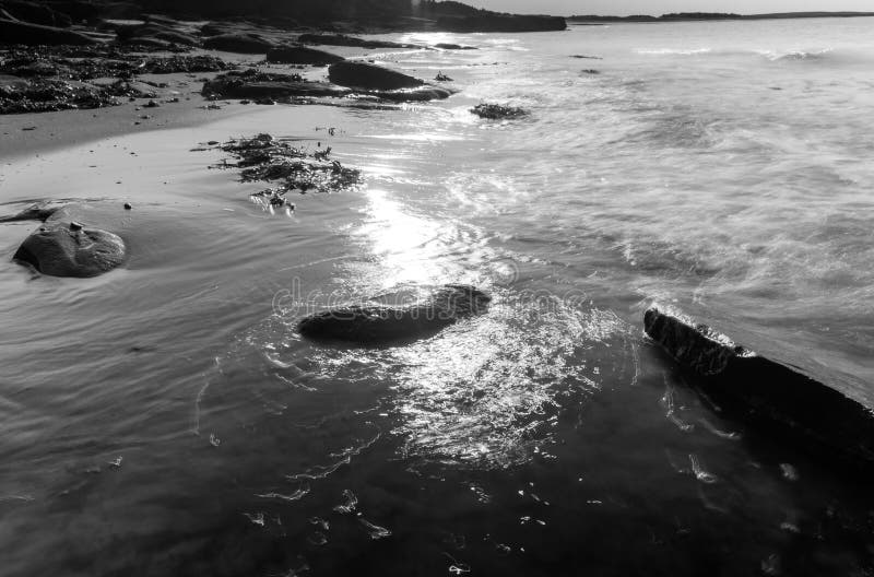 Morning sun on a beach stock image. Image of horizon 71513577