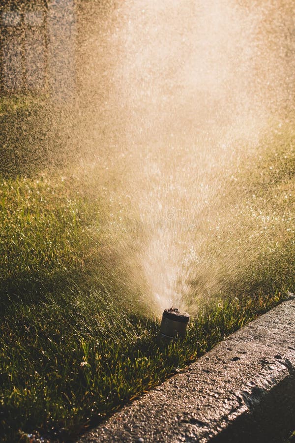 Morning Sun with Sprinklers Turned on Stock Image Image of fresh