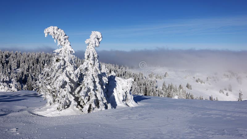 Zázrivá, Martinské hole, Malá Fatra, Slovensko