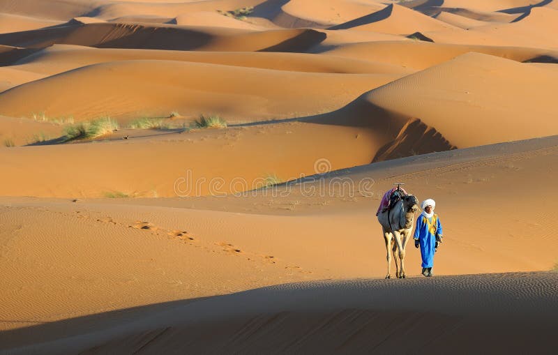 Moroccan Desert 11